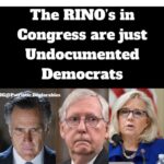 Top RINO In Their Sights: MAGA Patriots Launch New Plan